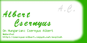 albert csernyus business card